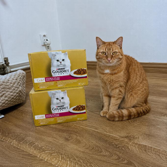 Ginger
