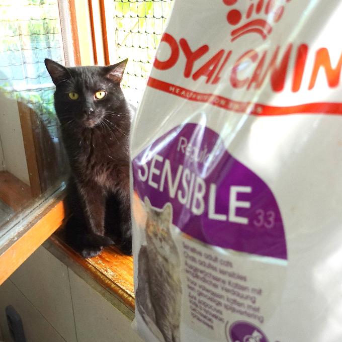 Bastián