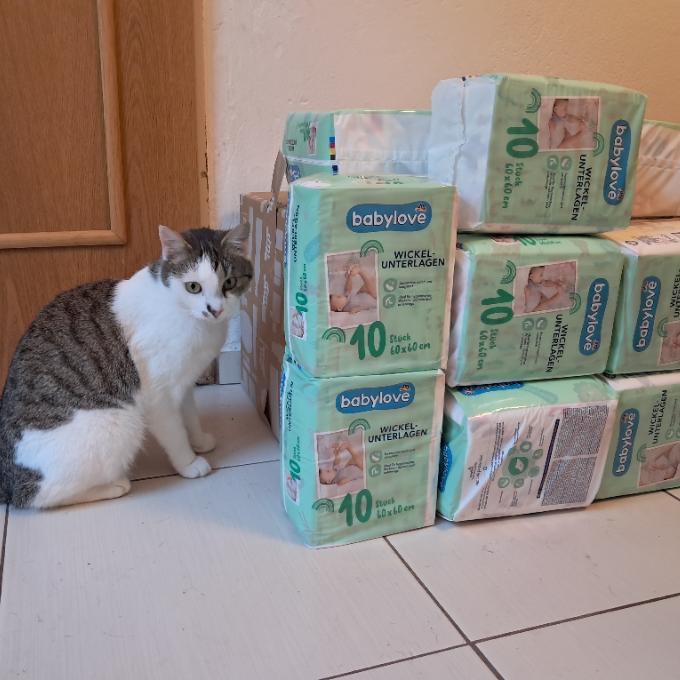Beránek