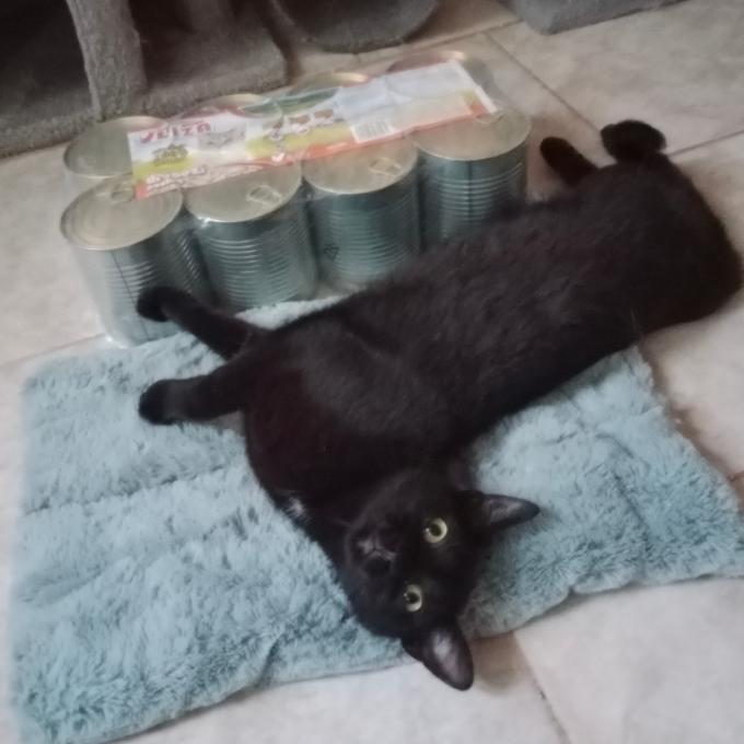 Pivoňka