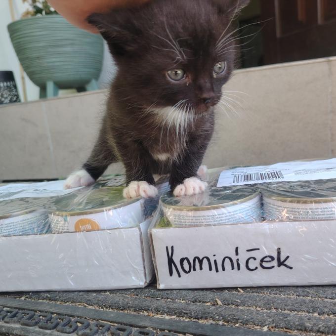 Kominíček