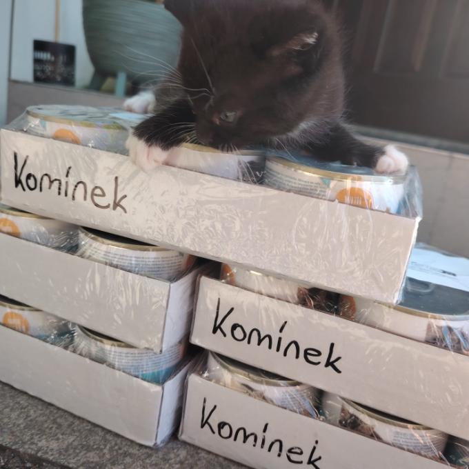 Komínek