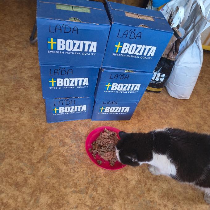 Láďa