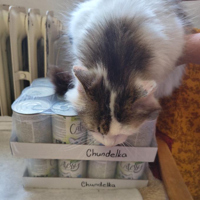 Chundelka
