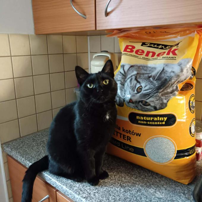 Oliver