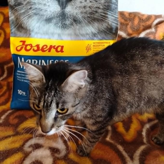 Dášenka