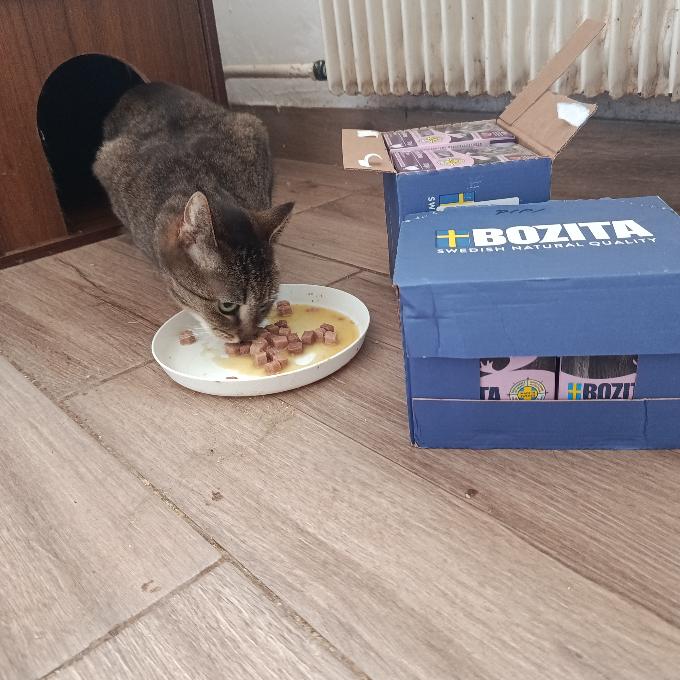 Pipi