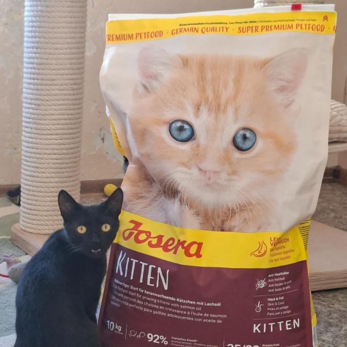 Kofilka