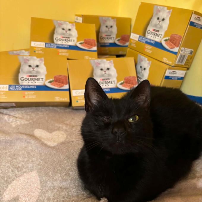 Pepina