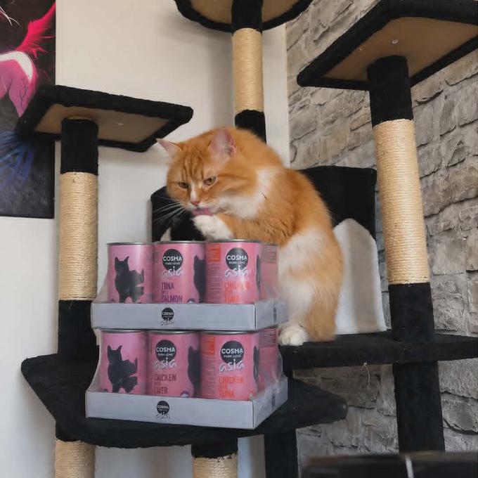 Simba