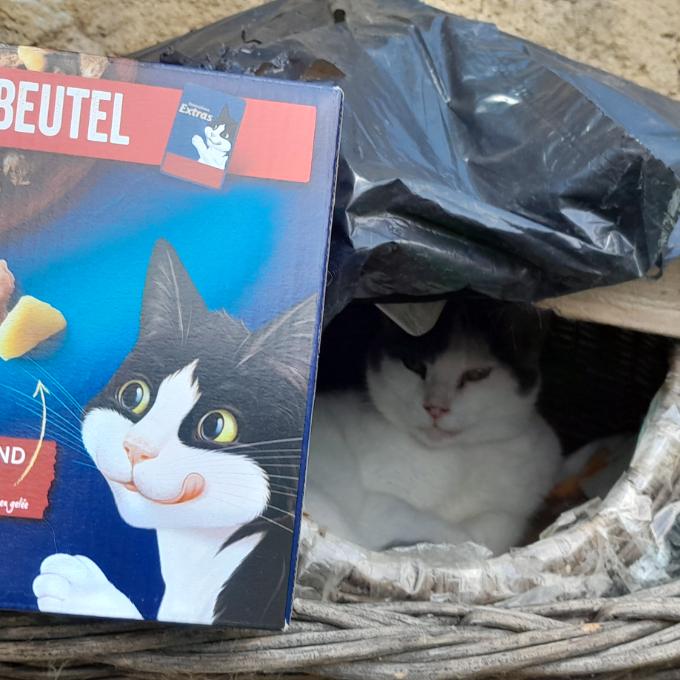 Indiánek