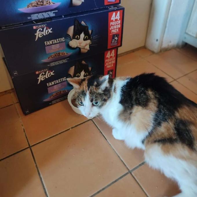 Kryšpínka