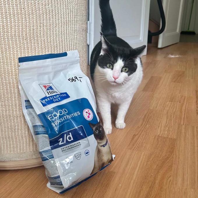 Eda FIV pozitivní