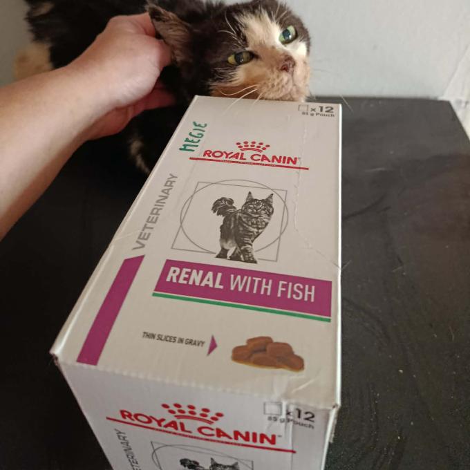 Meggie