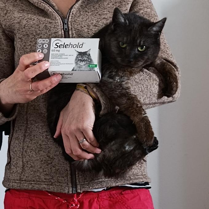 Arya