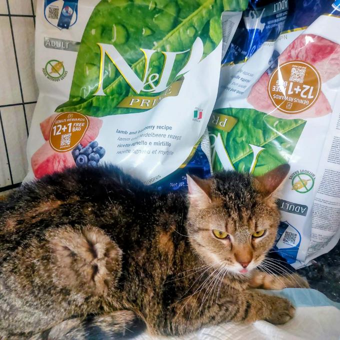 Arnoštka