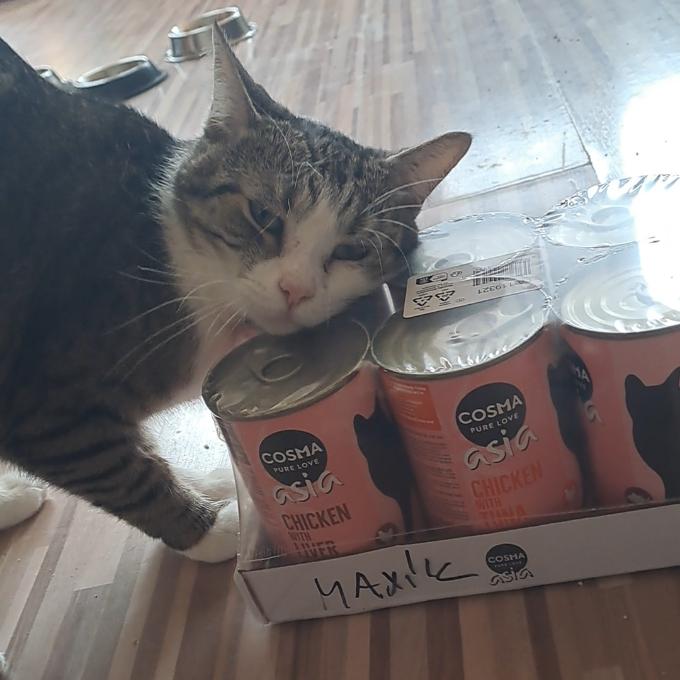 Maxík