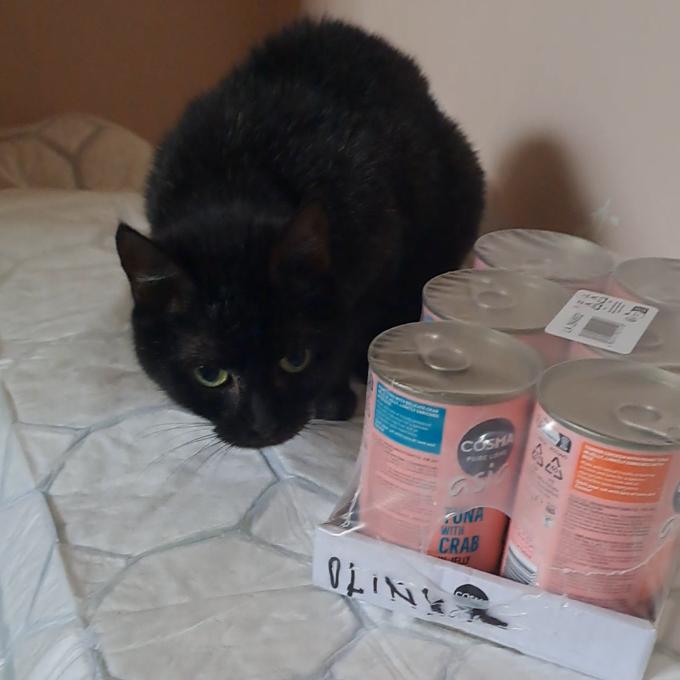 Olinka