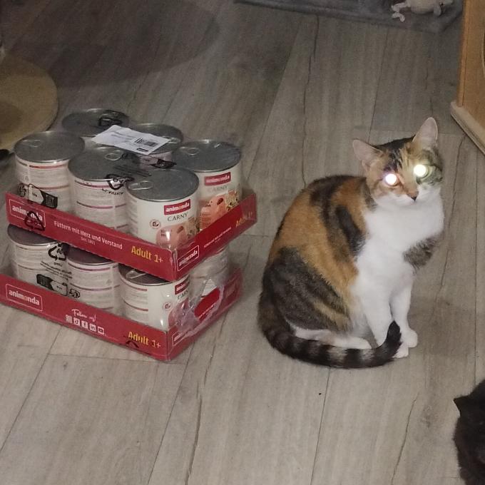 Týna