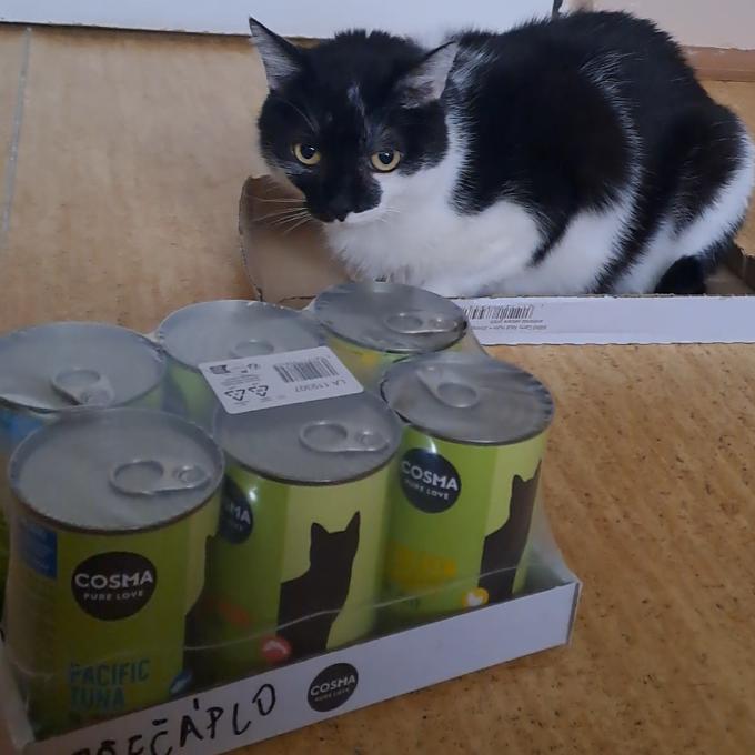 Přečáplo
