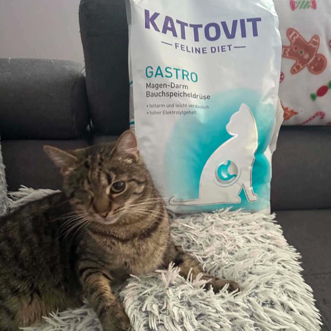 Žižka