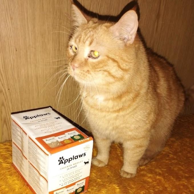 Medík