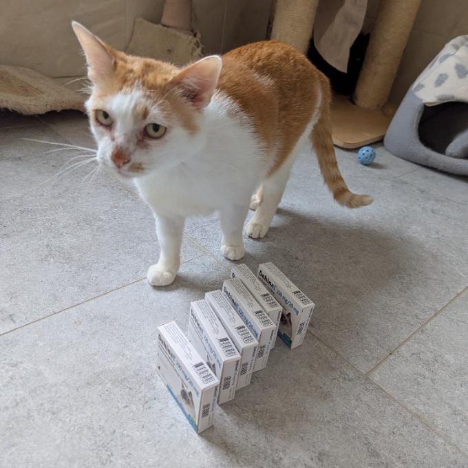 Pinďa