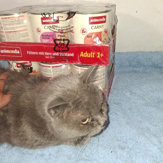 Sebastian