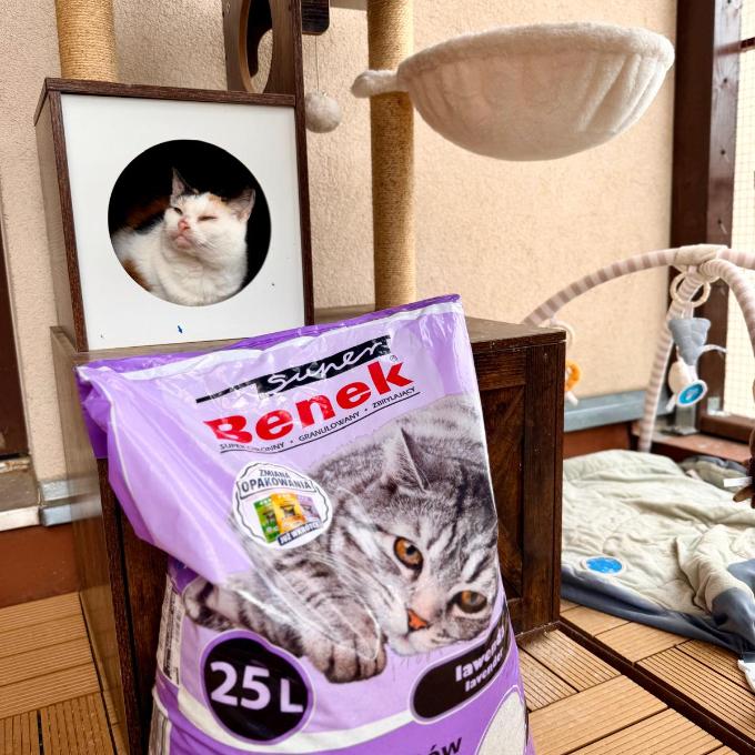 Epileptička Toffie