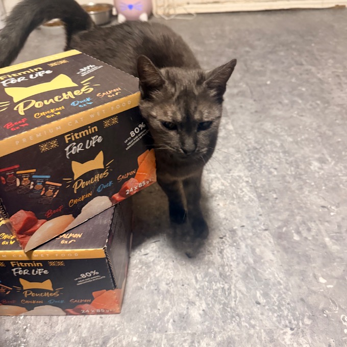 FIV Petúnie