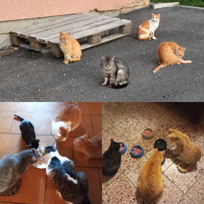 Lhota u Příbrami