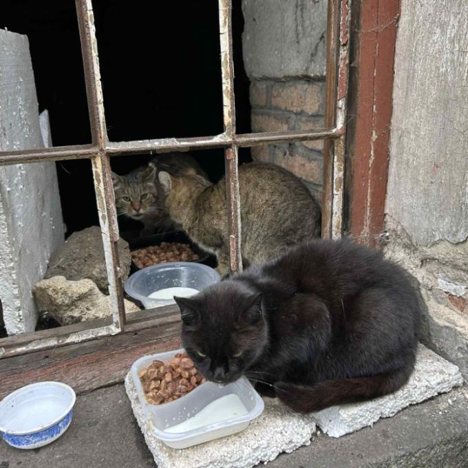 Nová Role - U nádraží