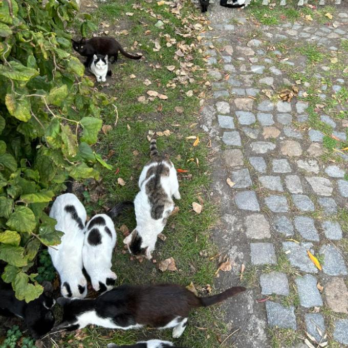 Karlovy Vary - U Tesca