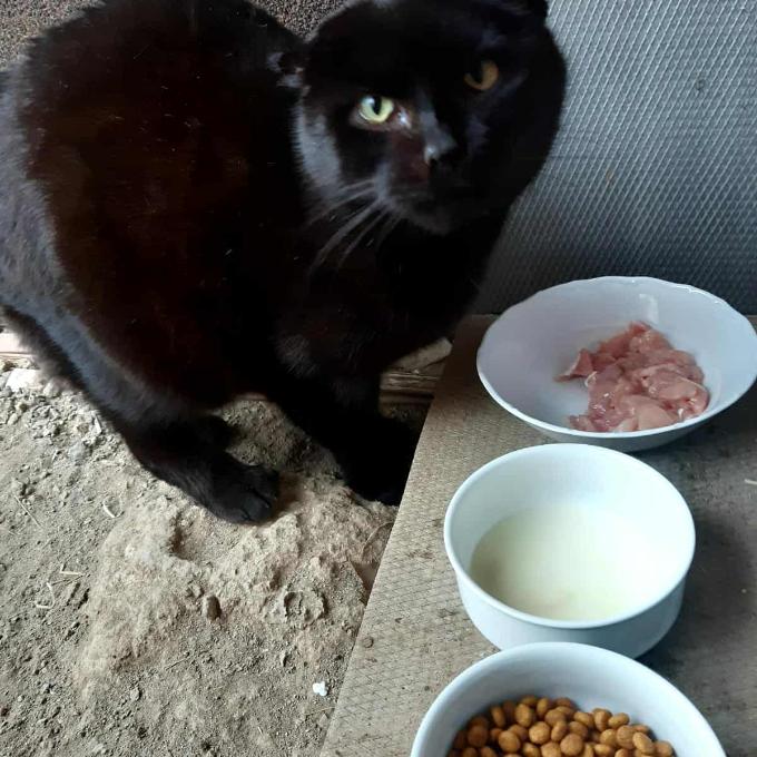 Karlovy Vary - U Čertíka