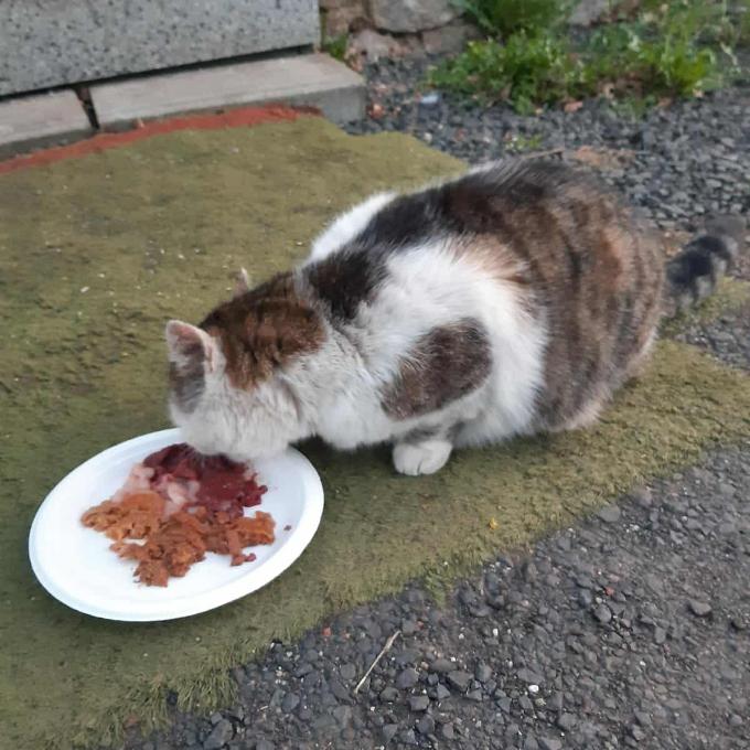 Karlovy Vary - U Čendíka
