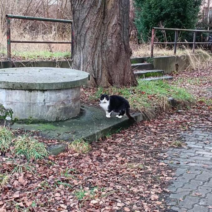 Karlovy Vary - U Elinky