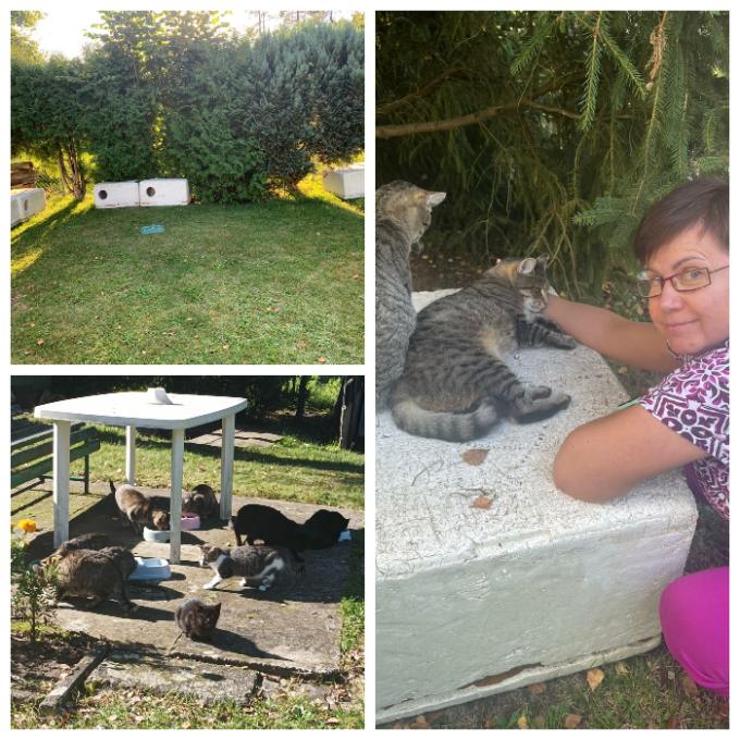 Svárov, zahrádkářská kolonie