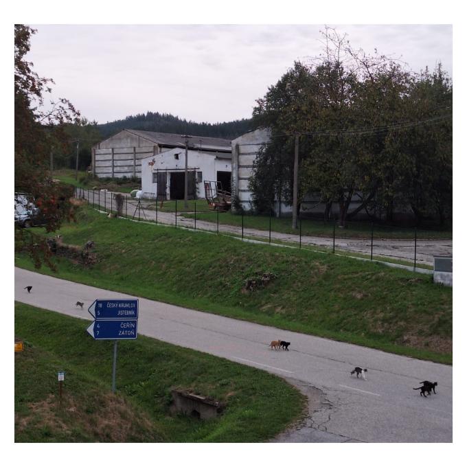 Rožmitál na Šumavě