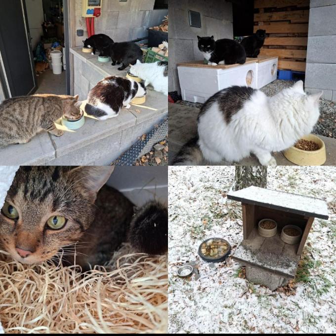 Krámy u Nového Knína