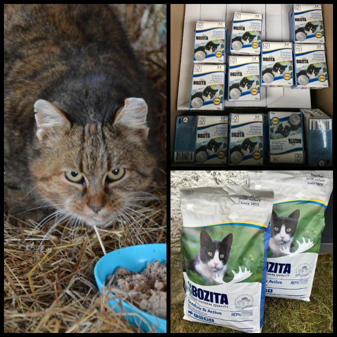 KRAVÍN NA ČESKOKRUMLOVSKU