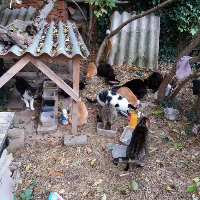 Popice - kemp Apollo