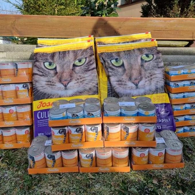 Těmice - FIV pozitivní