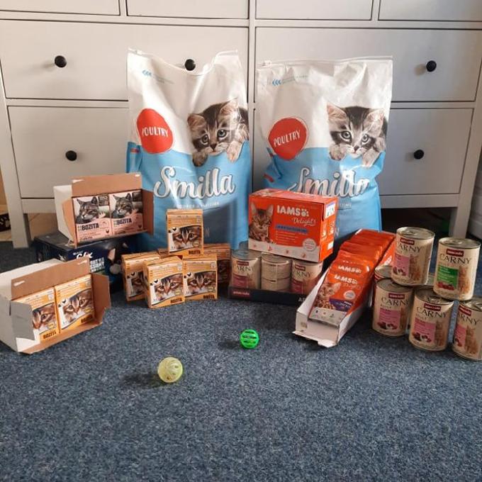 Kočky z Konce světa