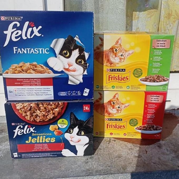 Bílá Voda v Orlických horách