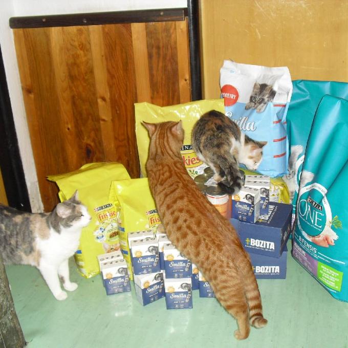 Česká Skalice - Spyta