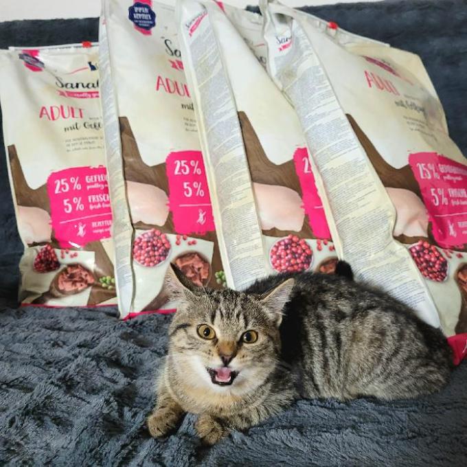 KRAVÍN NA ČESKOKRUMLOVSKU