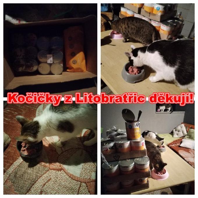 Litobratřice