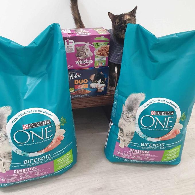 U zámku v Rosicích