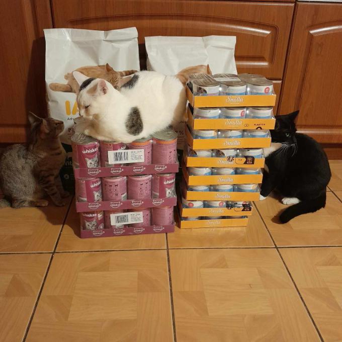 Česká Skalice - Spyta