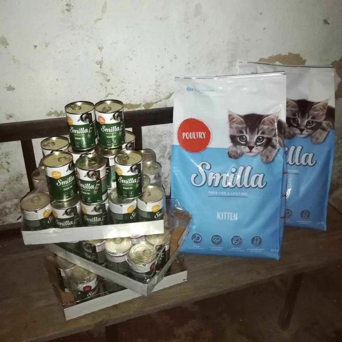 Kočky z Konce světa